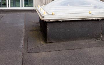disadvantages of Heanish flat roofs